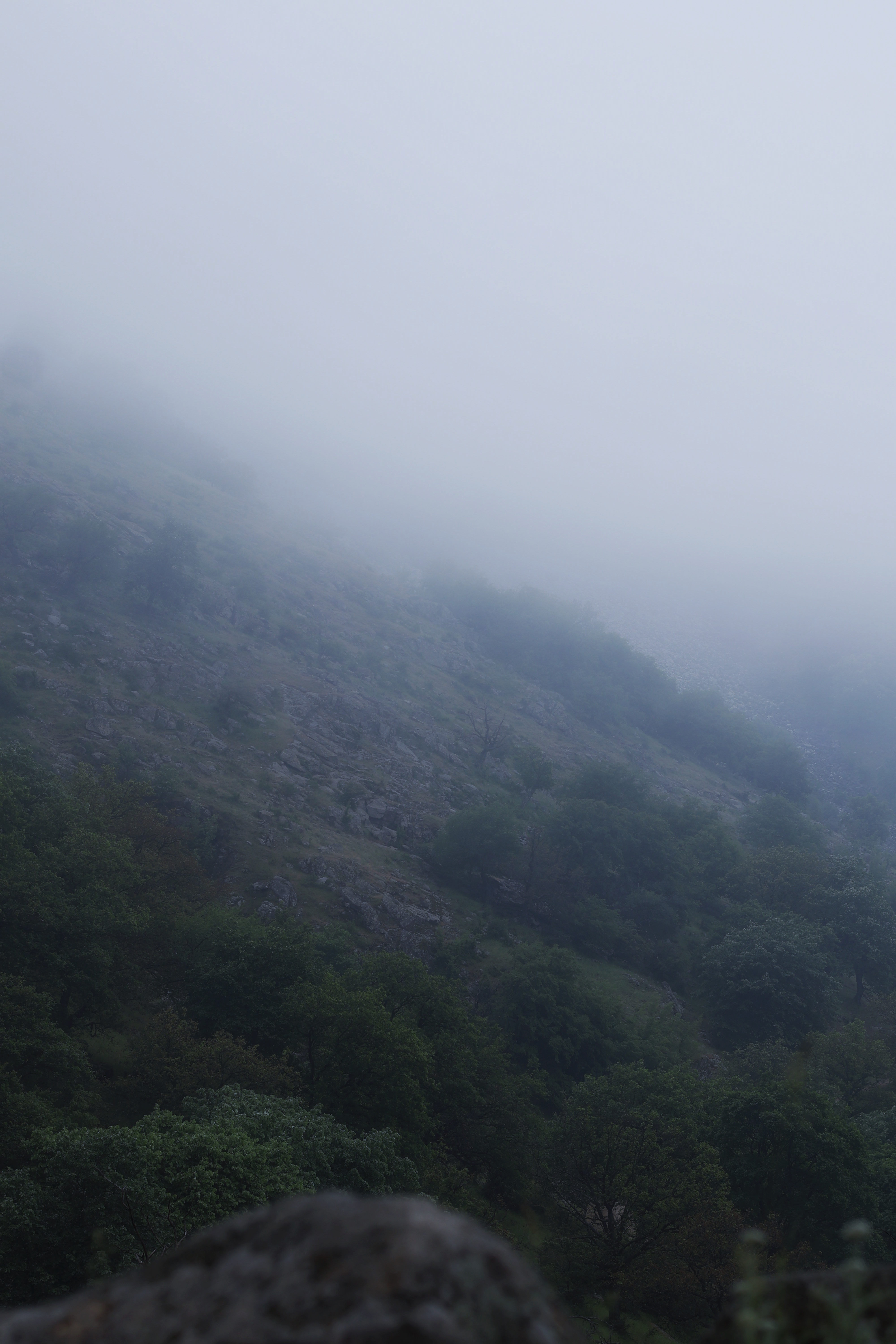 Lumini de scenă